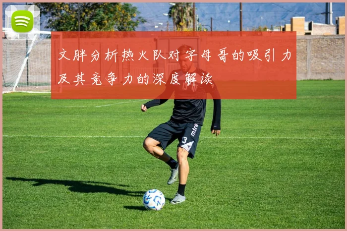 文胖分析热火队对字母哥的吸引力及其竞争力的深度解读